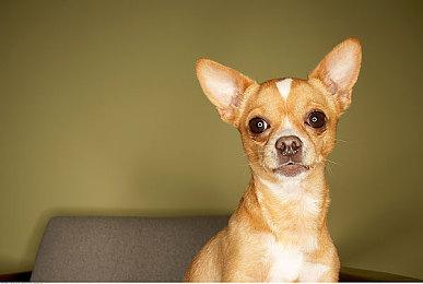 销量400万！《双影奇境》获瑞典王室亲自颁奖